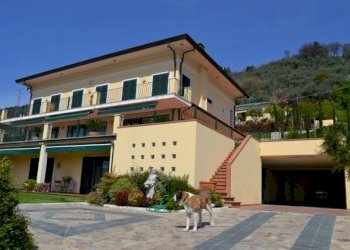 DSC_0235.JPG - Villa Carrara - foto 5