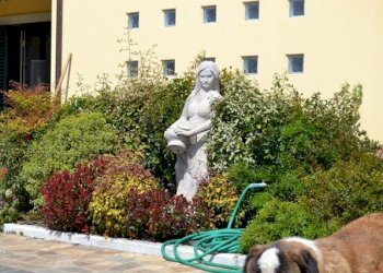 DSC_0237.JPG - Villa Carrara - foto 7