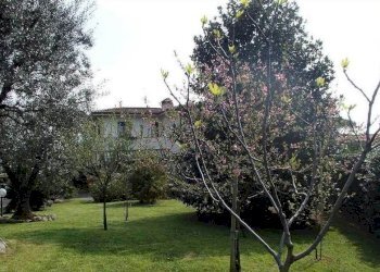 fo3.JPG - Villa Forte dei Marmi - foto 3