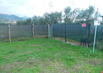 DSCN0021.JPG - Appartamento Castelnuovo Magra - foto 23