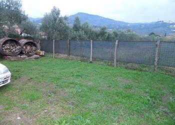 DSCN0022.JPG - Appartamento Castelnuovo Magra - foto 24