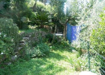 DSCN8357.JPG - Appartamento Ameglia - foto 20