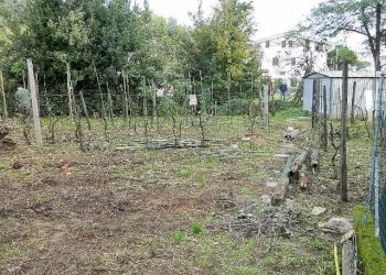 DSCN5991.JPG - Appartamento Carrara - foto 11