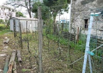 DSCN5992.JPG - Appartamento Carrara - foto 12