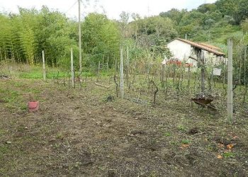 DSCN5993.JPG - Appartamento Carrara - foto 13