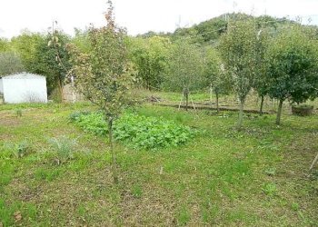 DSCN5994.JPG - Appartamento Carrara - foto 14