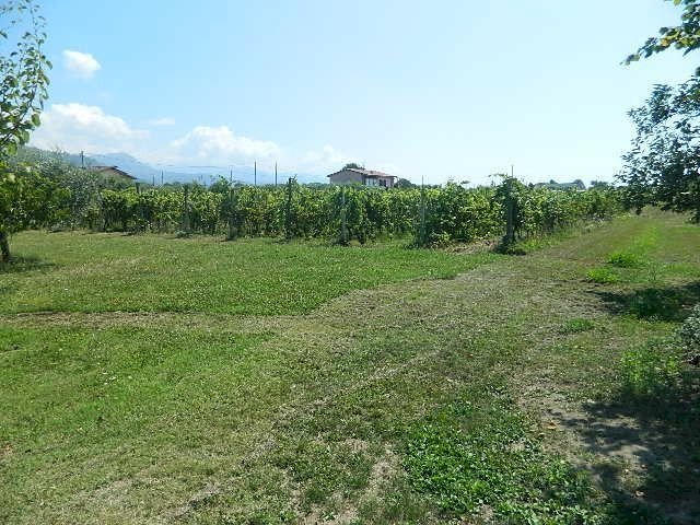 DSCN5256.JPG - Terreno edificabile Castelnuovo Magra - foto 1