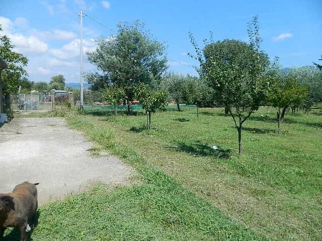 DSCN5258.JPG - Terreno edificabile Castelnuovo Magra - foto 3