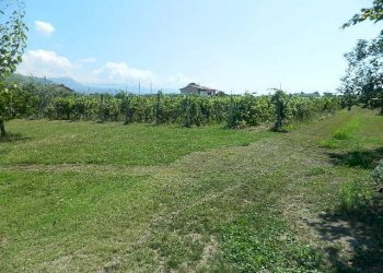 DSCN5256.JPG - Terreno edificabile Castelnuovo Magra - foto 1