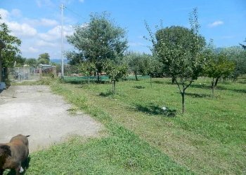 DSCN5258.JPG - Terreno edificabile Castelnuovo Magra - foto 3