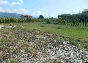 DSCN5259.JPG - Terreno edificabile Castelnuovo Magra - foto 4