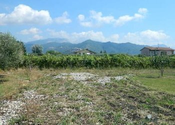 DSCN5261.JPG - Terreno edificabile Castelnuovo Magra - foto 6