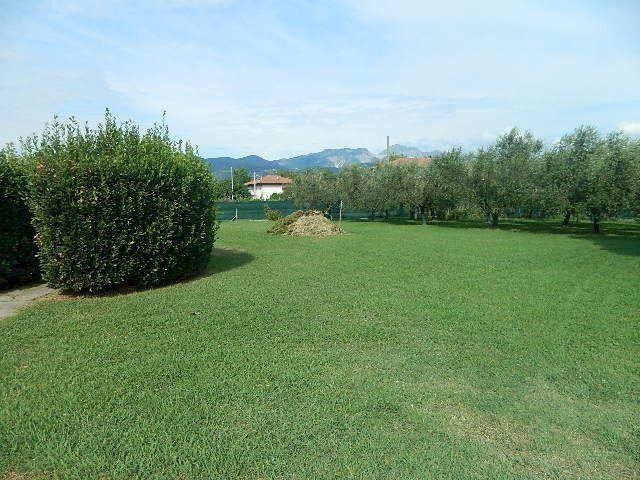 DSCN5207.JPG - Villa Ameglia - foto 2