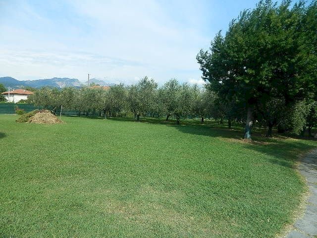 DSCN5208.JPG - Villa Ameglia - foto 3