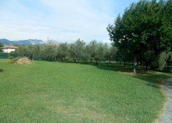 DSCN5208.JPG - Villa Ameglia - foto 3