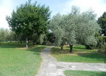 DSCN5209.JPG - Villa Ameglia - foto 4