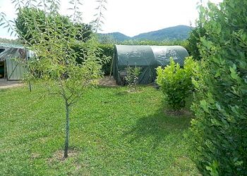 DSCN5210.JPG - Villa Ameglia - foto 5