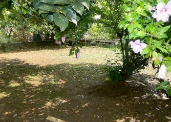 DSCN5119.JPG - Appartamento Massa - foto 13