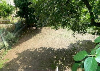 DSCN5118.JPG - Appartamento Massa - foto 12