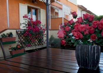 Villa Montignoso - foto 13