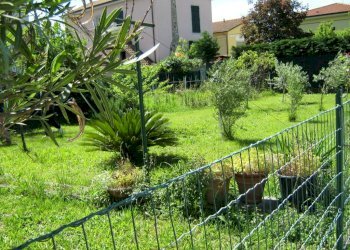 Appartamento Sarzana - foto 4