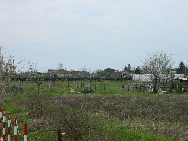 DSCN5249.JPG - Agricultural land Carrara - photo 1