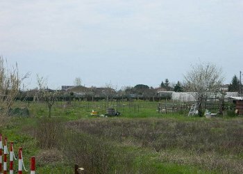 DSCN5249.JPG - Terreno agricolo Carrara - foto 1