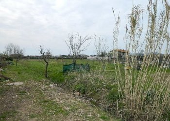 DSCN5250.JPG - Terreno agricolo Carrara - foto 2