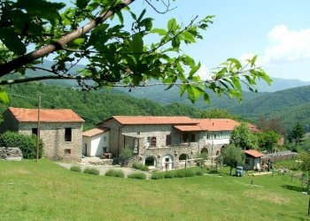 Non Alimentare Pontremoli - foto 1