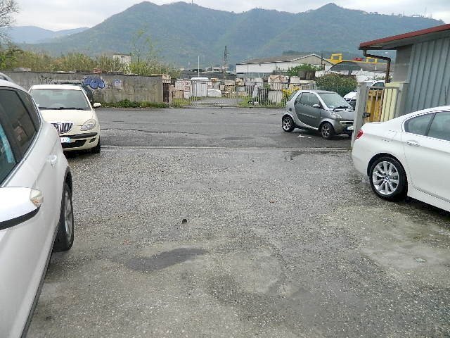 DSCN1499.JPG - Capannone Luni - foto 2