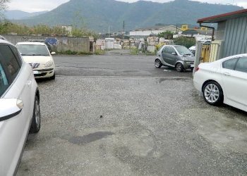 DSCN1499.JPG - Capannone Luni - foto 2