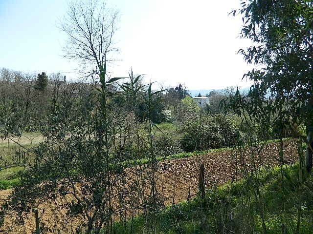 Casa indipendente Sarzana - foto 1