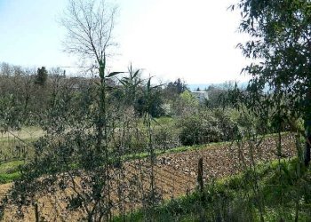 Casa indipendente Sarzana - foto 1