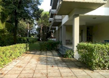 Appartamento Massa - foto 5