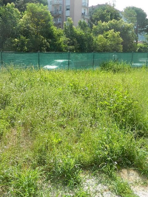 Casa semi indipendente Carrara - foto 3