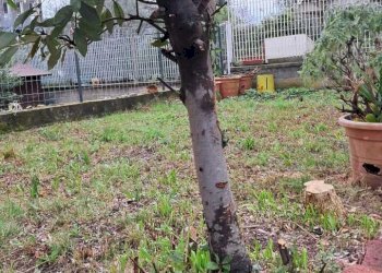 IMG-20260219-WA0055.jpg - Casa indipendente La Spezia (zona Termo) - foto 23