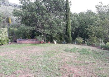 3.jpg - Casa indipendente Fosdinovo - foto 4