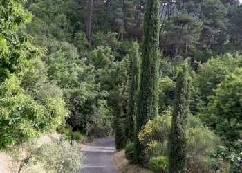 26.jpg - Casa indipendente Fosdinovo - foto 12