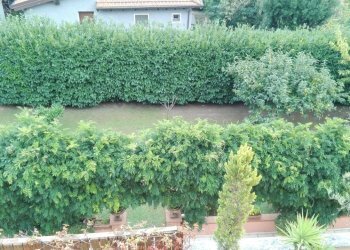 25.jpg - Appartamento Sarzana - foto 15