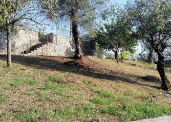 9.jpg - Villa Fosdinovo - foto 9