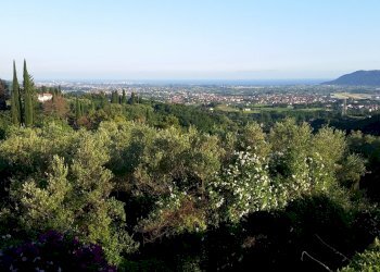 S4.jpg - Independent house Sarzana - photo 6