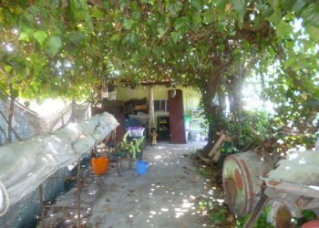 P1220834.JPG - Porzione di casa Jesi - foto 21