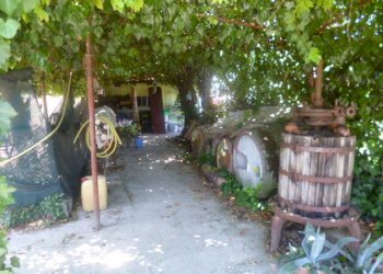 P1220843.JPG - Porzione di casa Jesi - foto 30