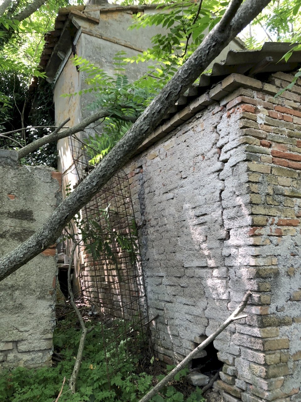 IMG_7698.jpg - Casale Monte San Vito - foto 2