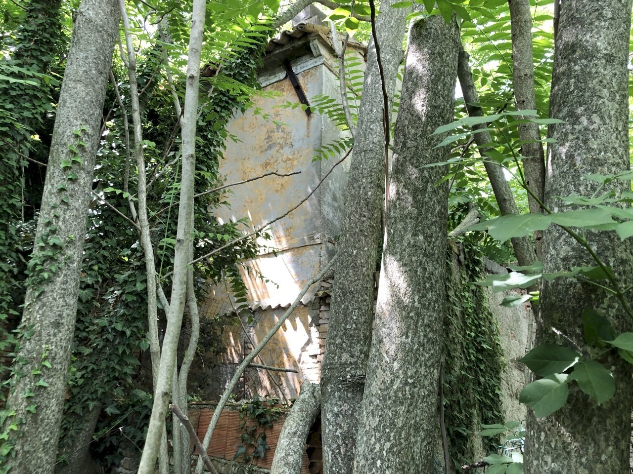 IMG_7699.jpg - Casale Monte San Vito - foto 3