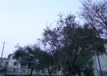 P1210915.JPG - Independent house Santa Maria Nuova - photo 10