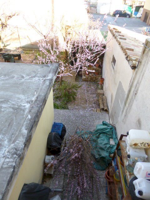 P1210763.JPG - Four-room apartment Jesi - photo 3