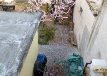 P1210763.JPG - Appartamento Jesi - foto 3