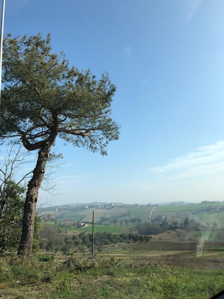 0db3b1ee-06a8-41df-8b34-907b5addba45.jpg - Independent house Santa Maria Nuova - photo 2