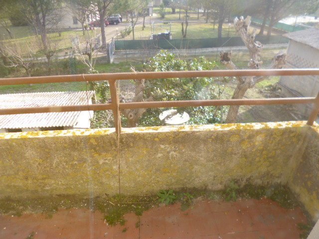 P1210725.JPG - Farmhouse Castelbellino - photo 2